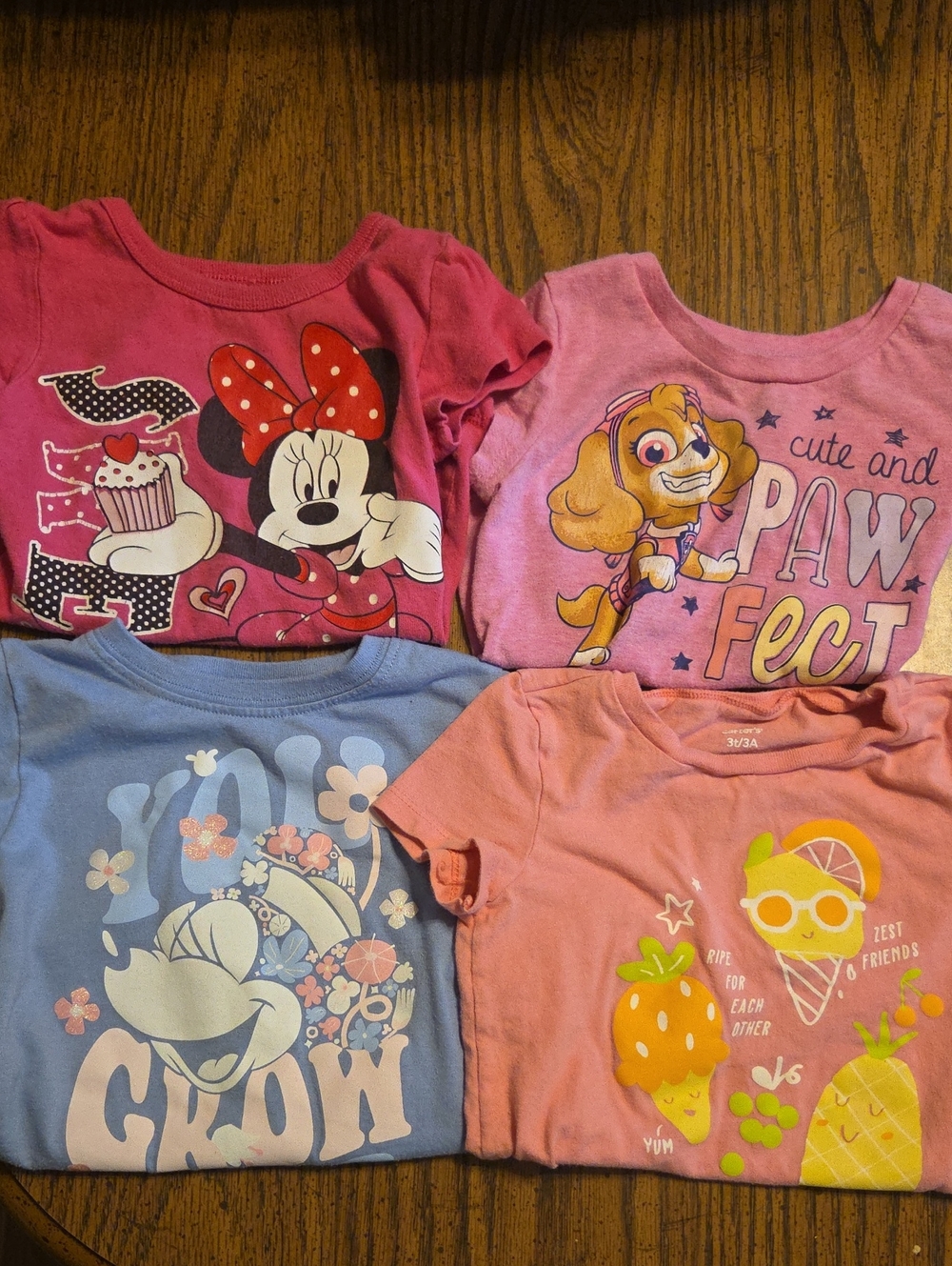 4 Girls T-Shirts (3T)